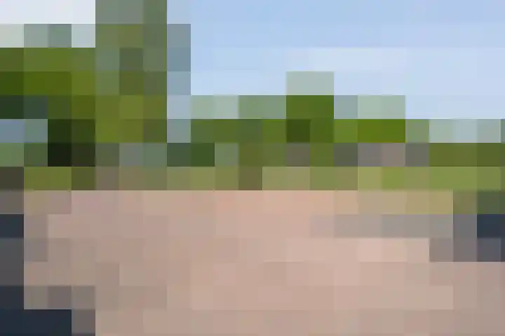 van Helomaweg 4 a Havelte thumbnail 67