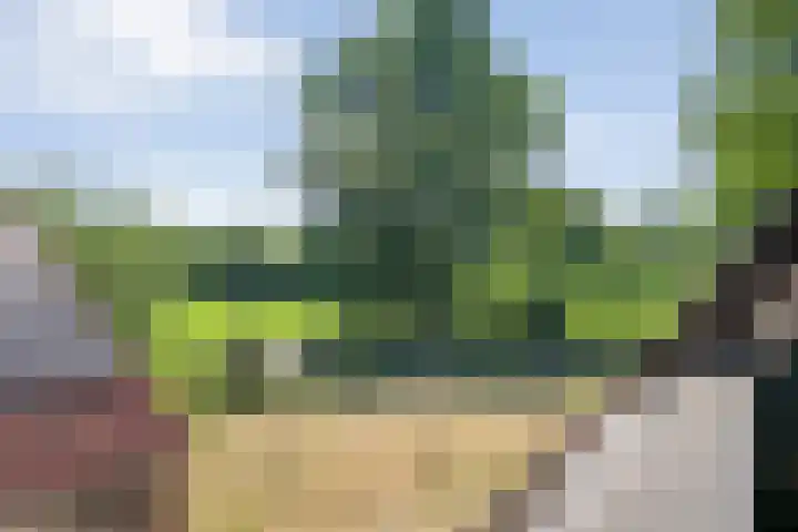 van Helomaweg 4 a Havelte thumbnail 68