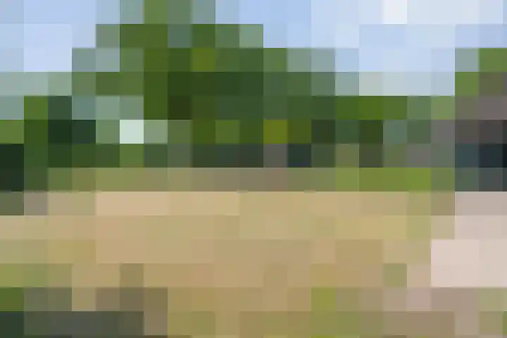 van Helomaweg 4 a Havelte thumbnail 73