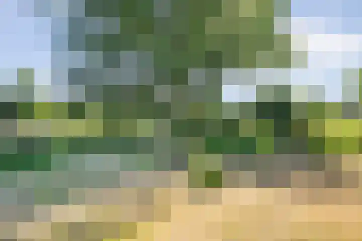 van Helomaweg 4 a Havelte thumbnail 74