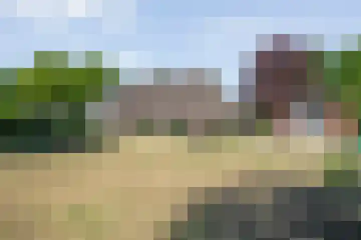 van Helomaweg 4 a Havelte thumbnail 77