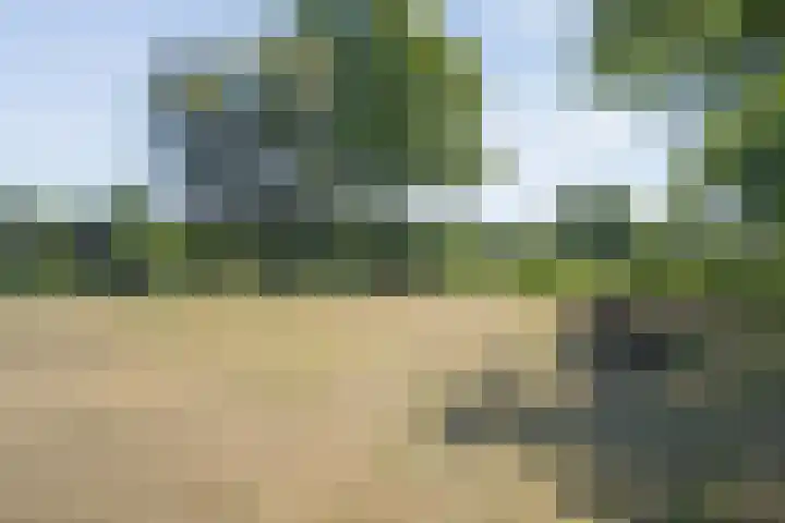 van Helomaweg 4 a Havelte thumbnail 78