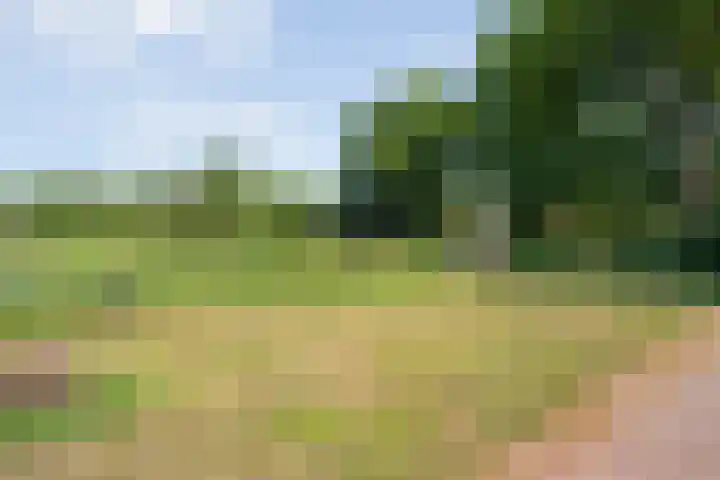van Helomaweg 4 a Havelte thumbnail 79