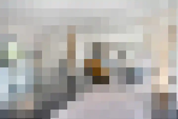 van Helomaweg 4 a Havelte thumbnail 8