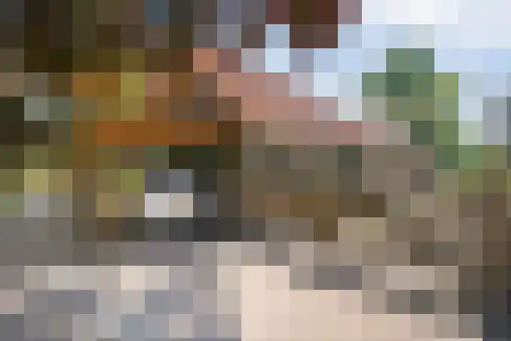 van Helomaweg 4 a Havelte thumbnail 81