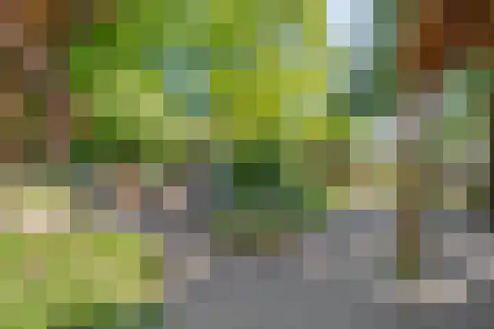 van Helomaweg 4 a Havelte thumbnail 82