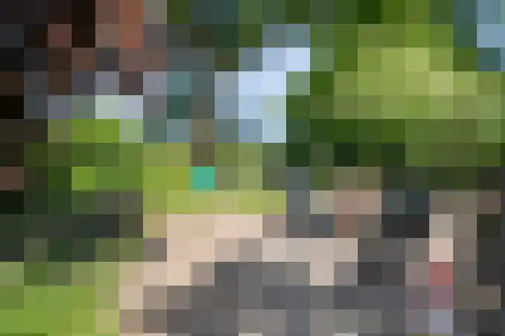van Helomaweg 4 a Havelte thumbnail 83