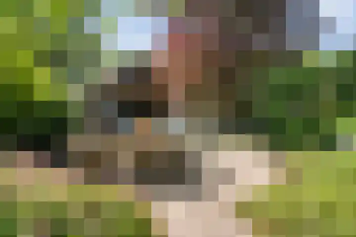van Helomaweg 4 a Havelte thumbnail 84