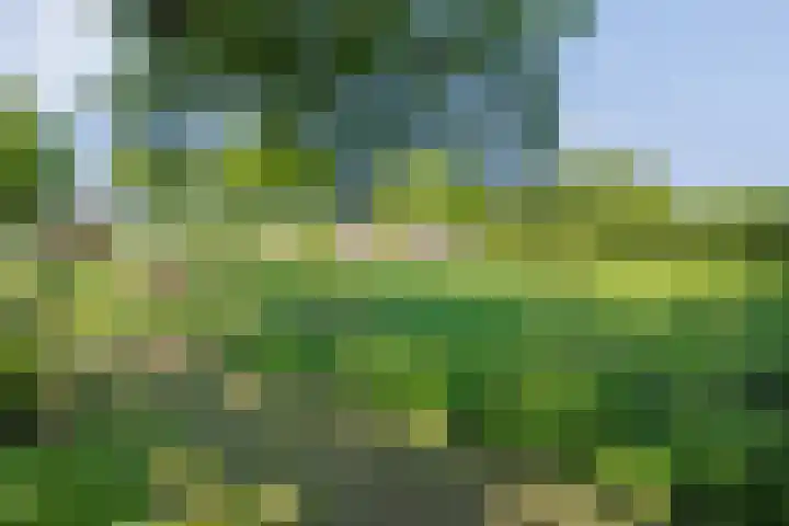 van Helomaweg 4 a Havelte thumbnail 85