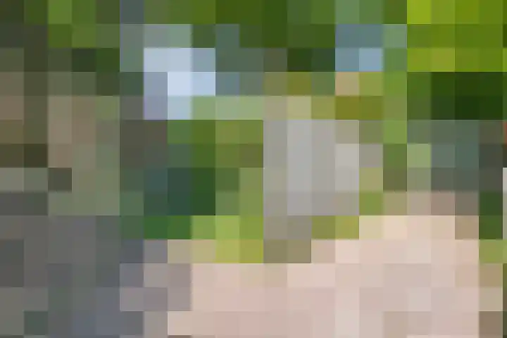 van Helomaweg 4 a Havelte thumbnail 86