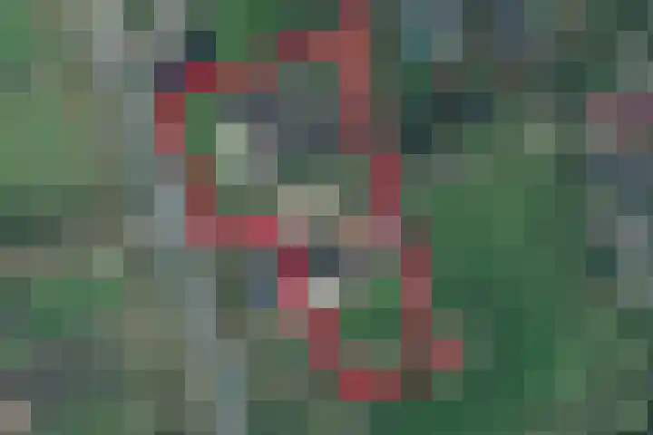 van Helomaweg 4 a Havelte thumbnail 88