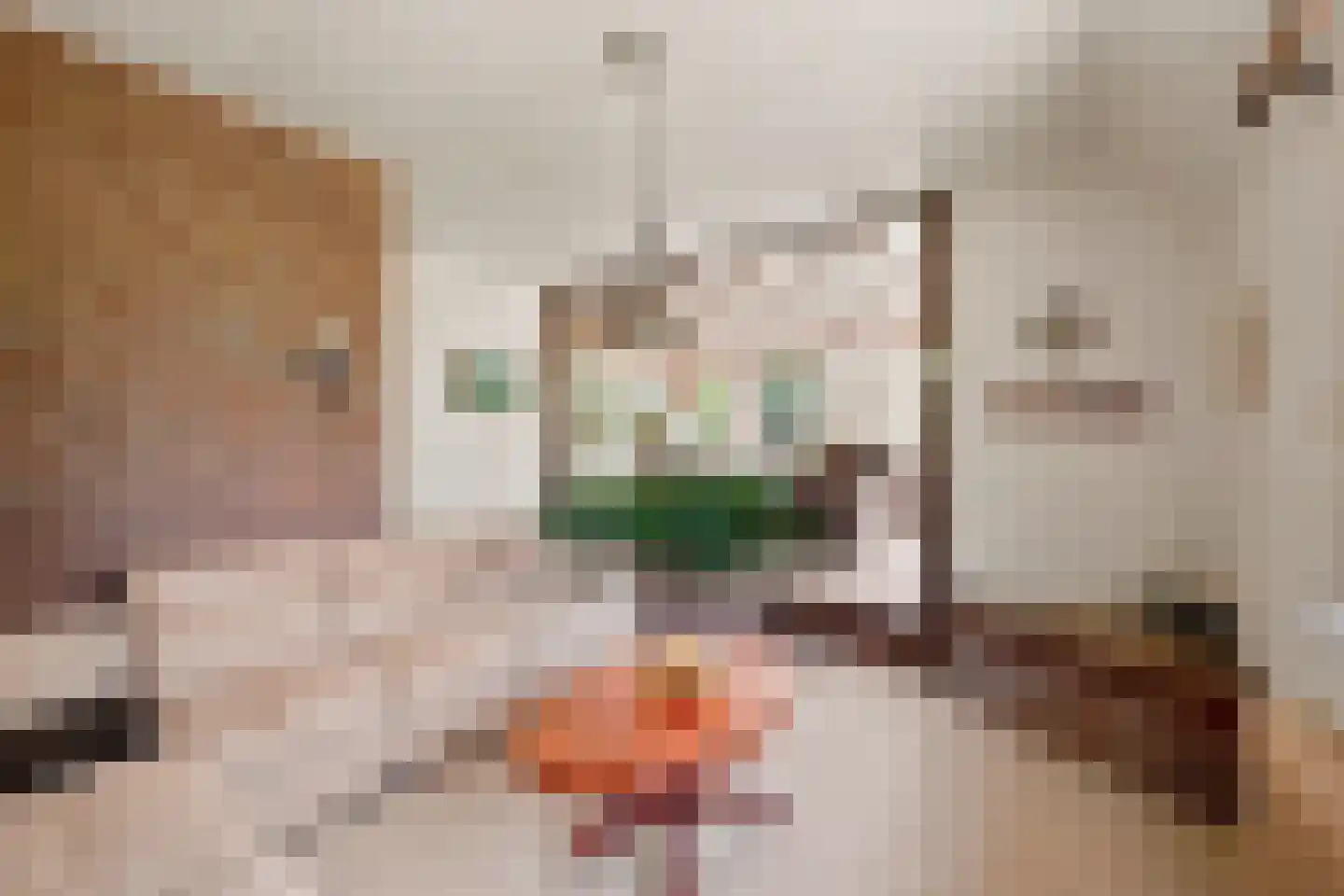 van Helomaweg 5 Havelte thumbnail 10