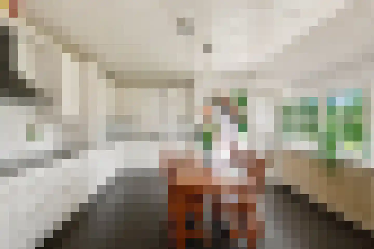 van Helomaweg 5 Havelte thumbnail 14
