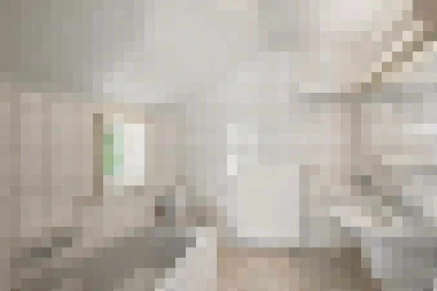van Helomaweg 5 Havelte thumbnail 15