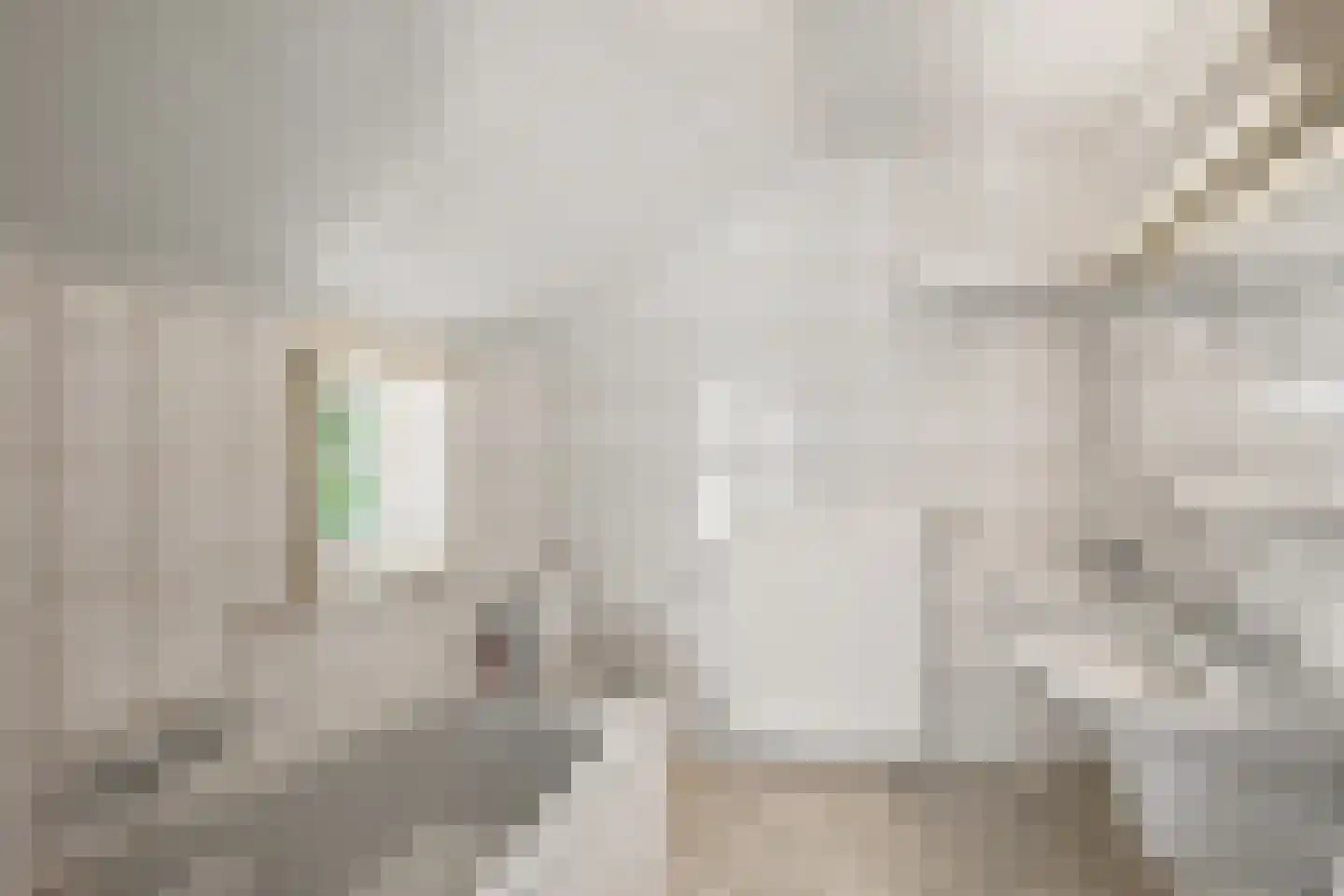 van Helomaweg 5 Havelte thumbnail 17