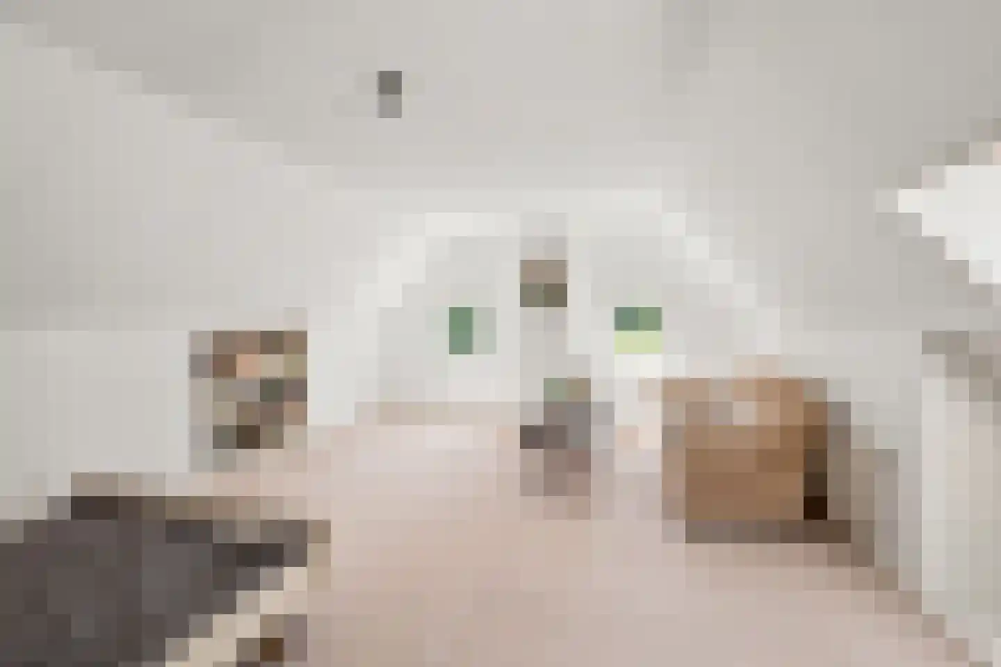 van Helomaweg 5 Havelte thumbnail 21