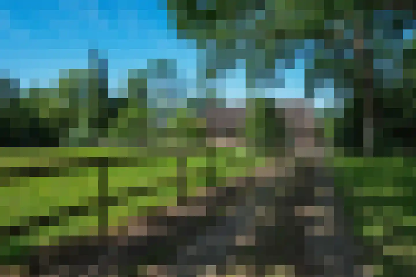van Helomaweg 5 Havelte thumbnail 25