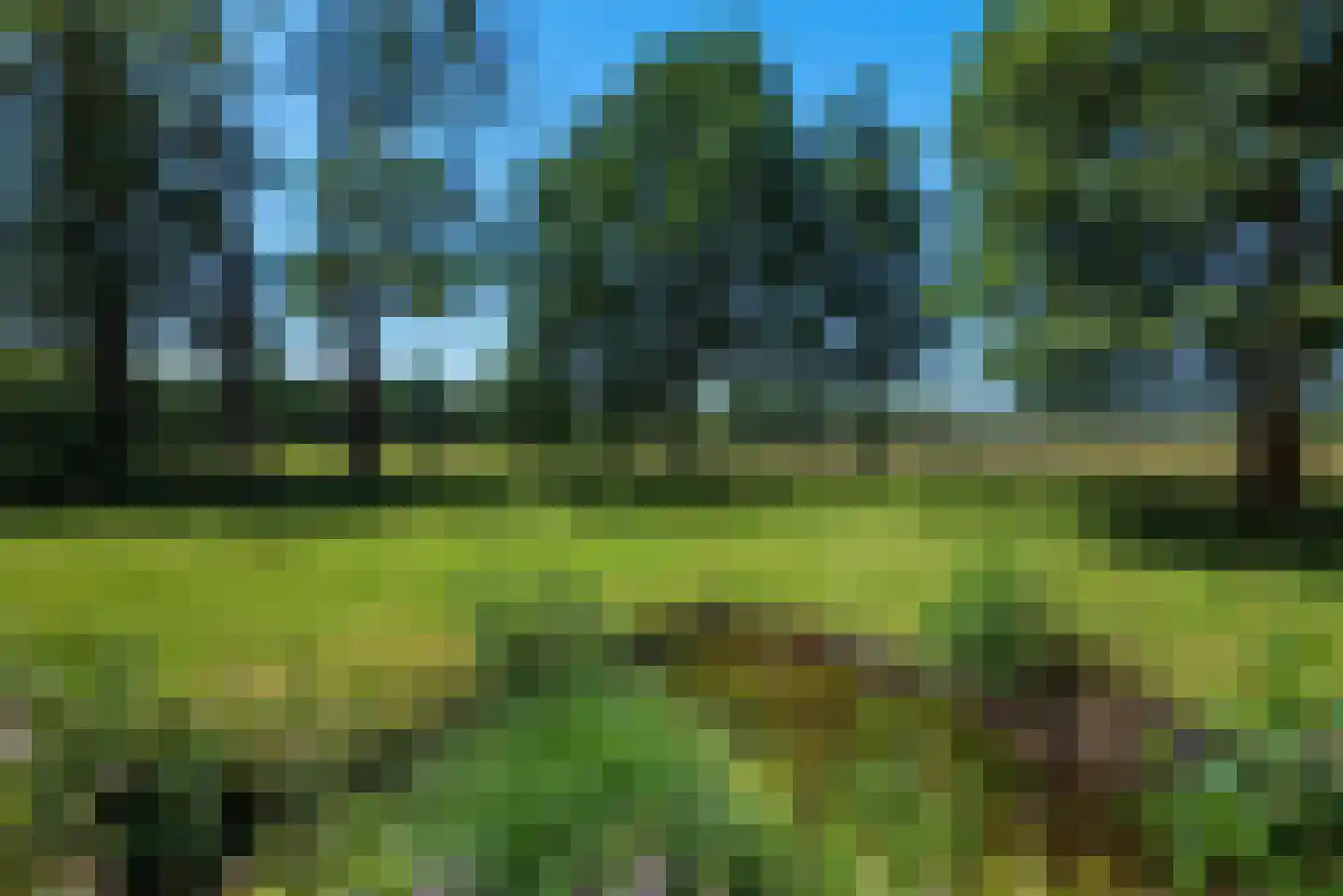 van Helomaweg 5 Havelte thumbnail 28