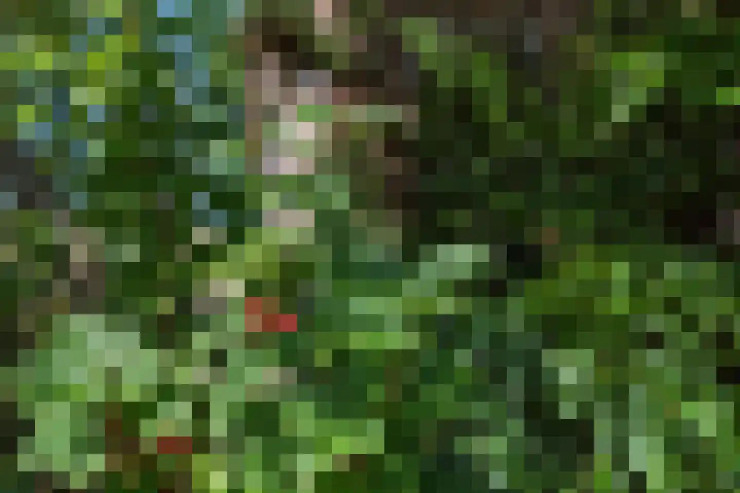 van Helomaweg 5 Havelte thumbnail 29