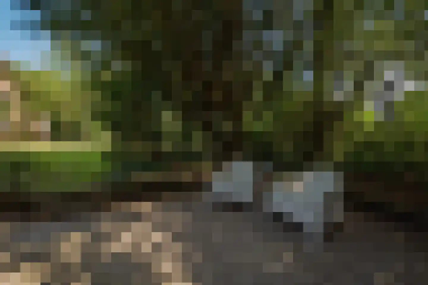 van Helomaweg 5 Havelte thumbnail 30