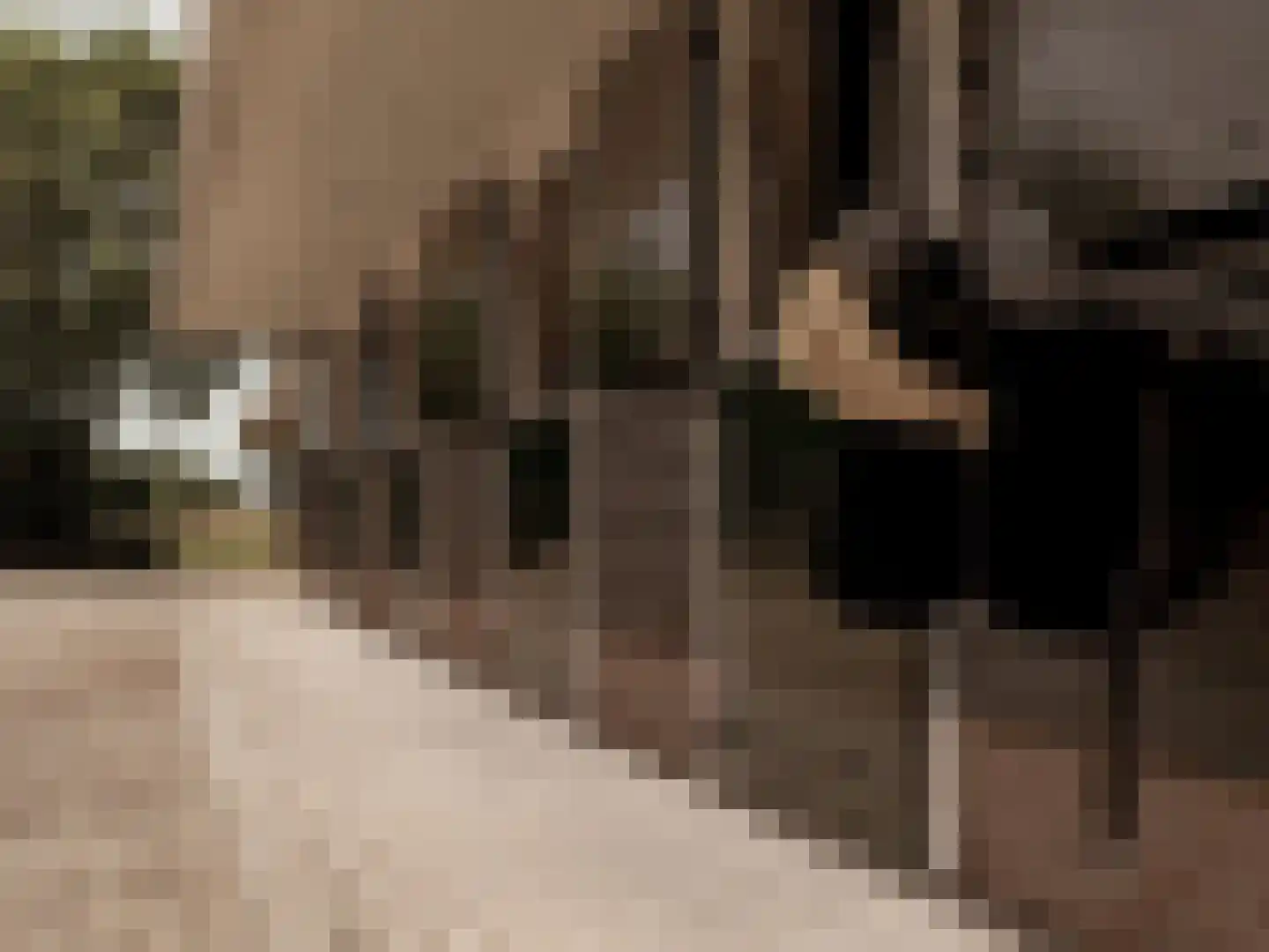 van Helomaweg 5 Havelte thumbnail 35