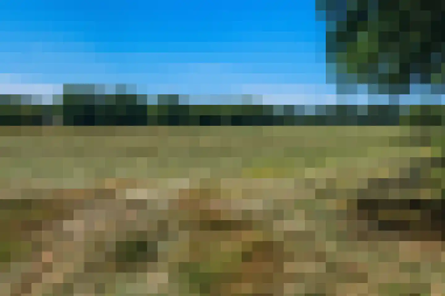 van Helomaweg 5 Havelte thumbnail 40