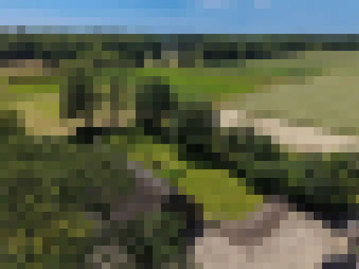 van Helomaweg 5 Havelte thumbnail 41