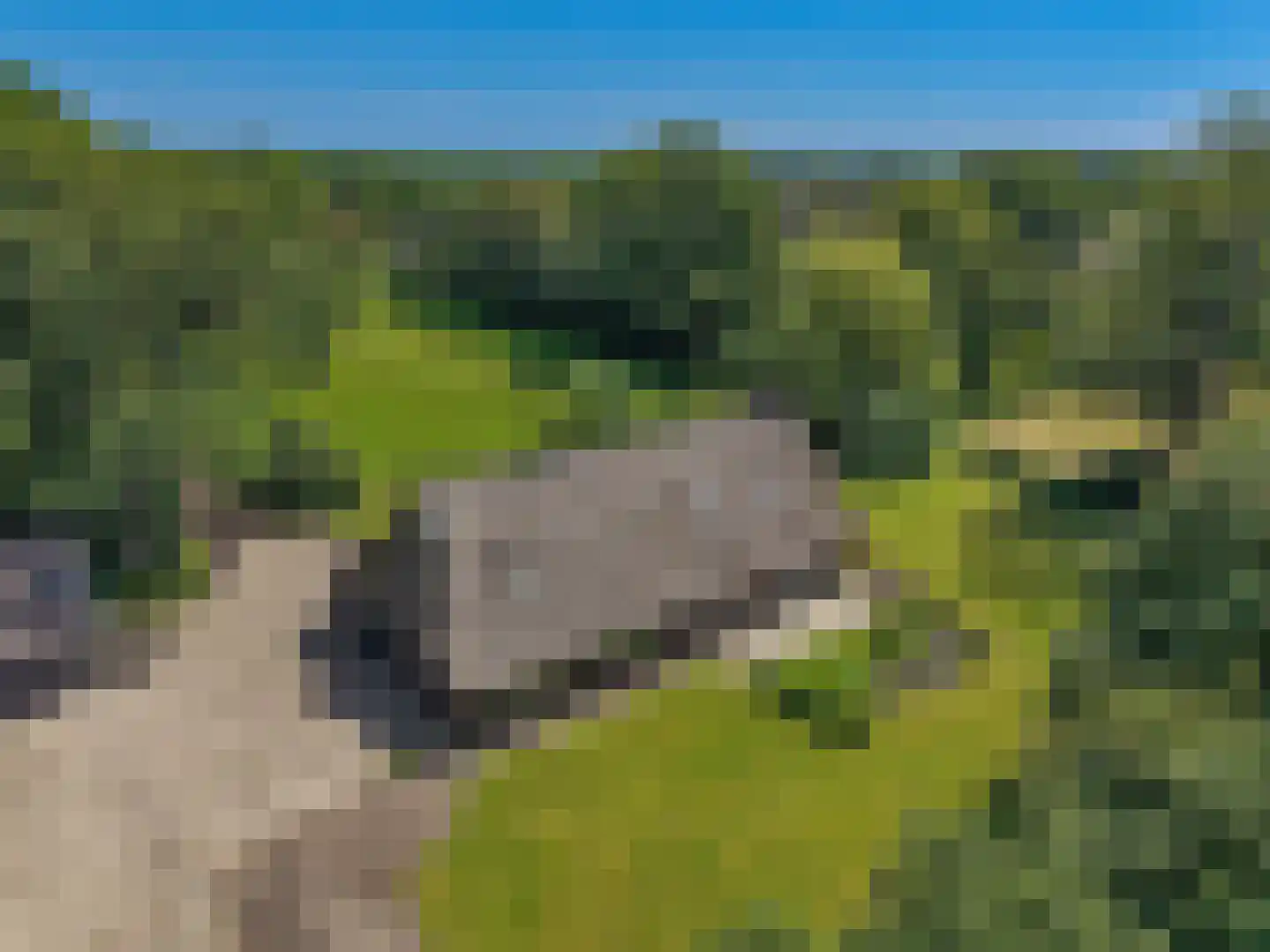 van Helomaweg 5 Havelte thumbnail 42