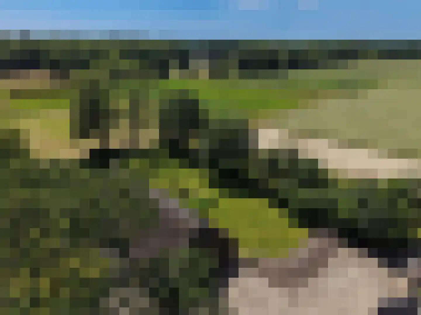 van Helomaweg 5 Havelte thumbnail 43
