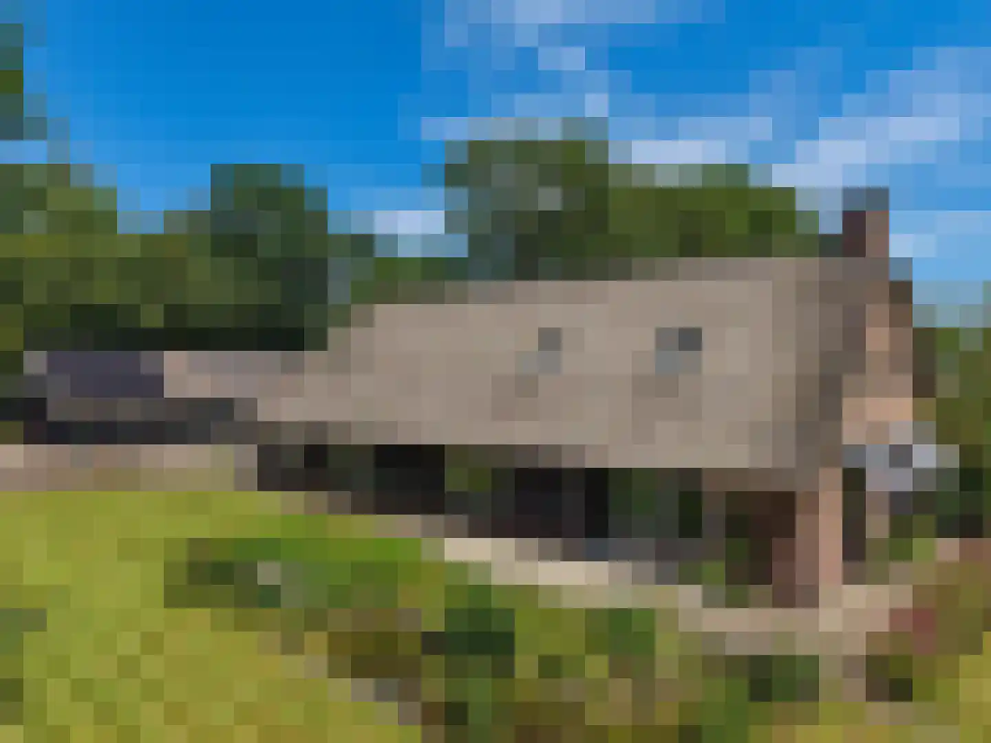 van Helomaweg 5 Havelte thumbnail 43