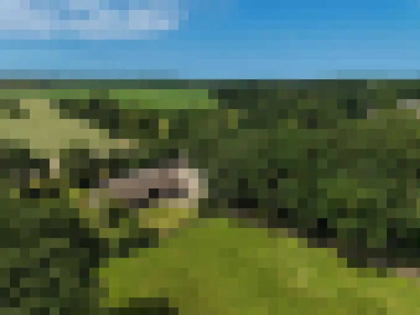 van Helomaweg 5 Havelte thumbnail 47