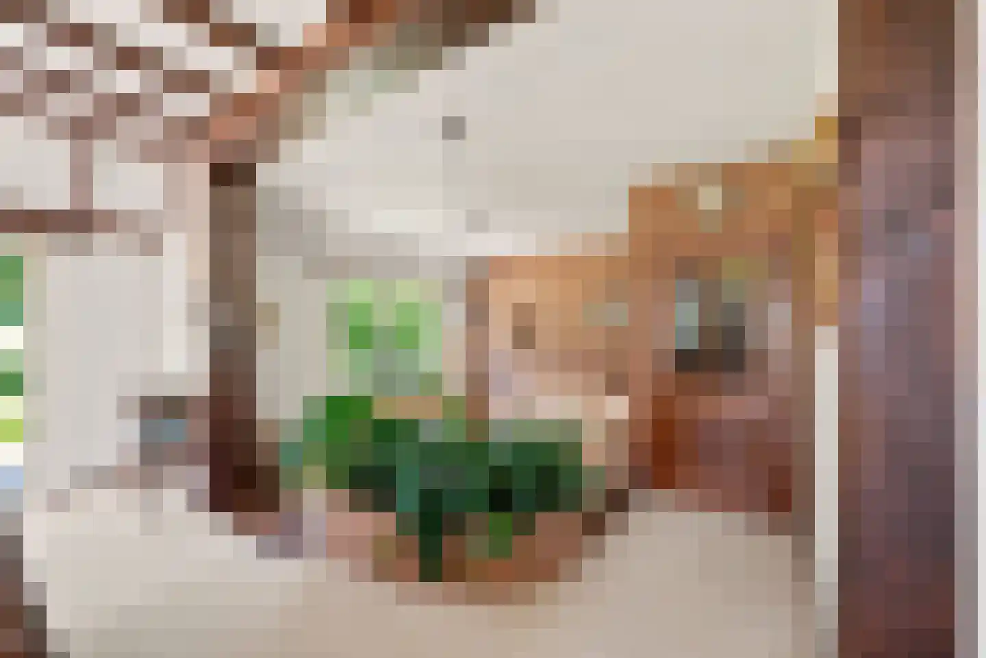 van Helomaweg 5 Havelte thumbnail 9
