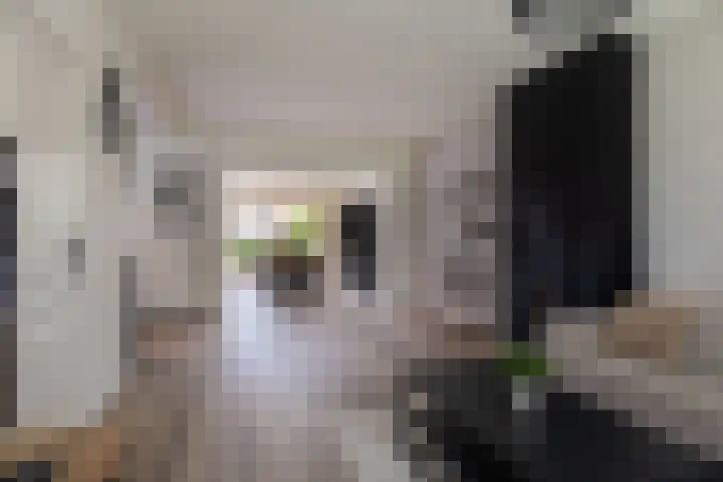 Van Helsdingenstraat 17 Hurdegaryp thumbnail 16