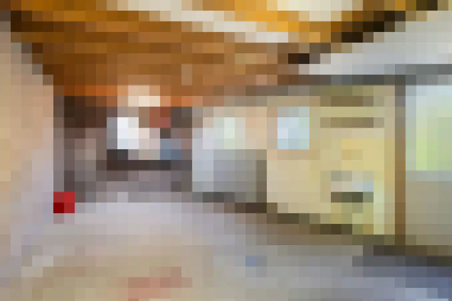 Van Helsdingenstraat 5 Hurdegaryp thumbnail 17