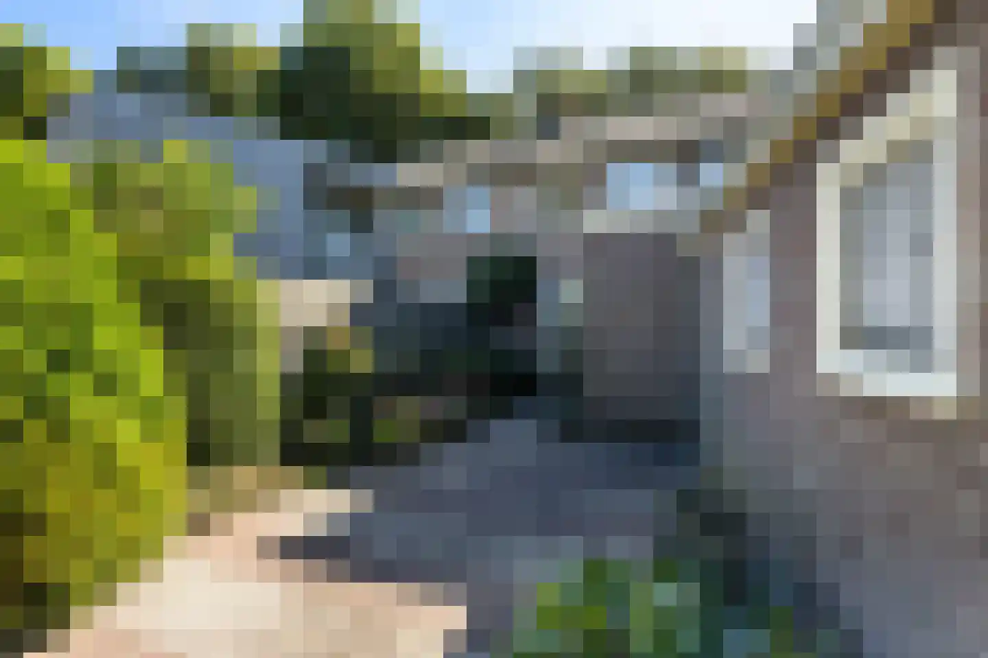 Van Helsdingenstraat 5 Hurdegaryp thumbnail 20