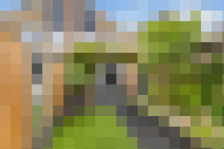 Van Hemertmarke 14 Zwolle thumbnail 10