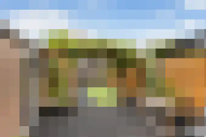 Van Hemertmarke 14 Zwolle thumbnail 11