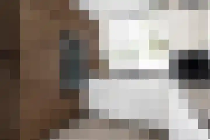 Van Hemertmarke 14 Zwolle thumbnail 12