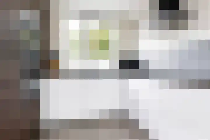Van Hemertmarke 14 Zwolle thumbnail 13