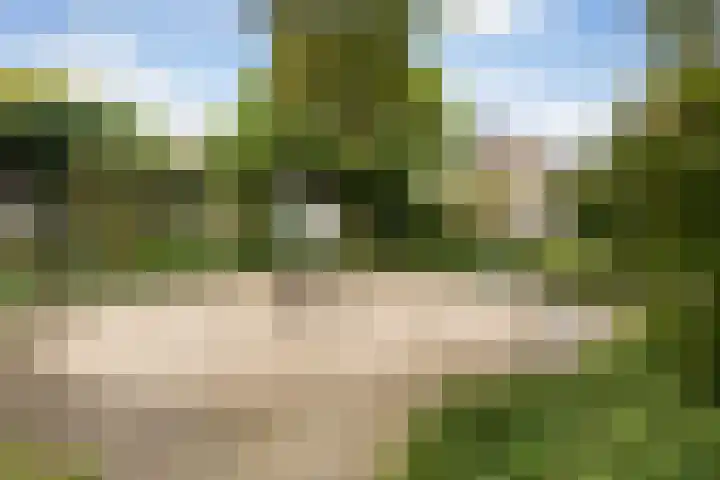 Van Hemertmarke 14 Zwolle thumbnail 28