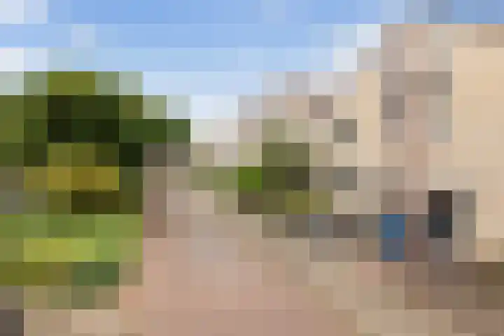 Van Hemertmarke 14 Zwolle thumbnail 30