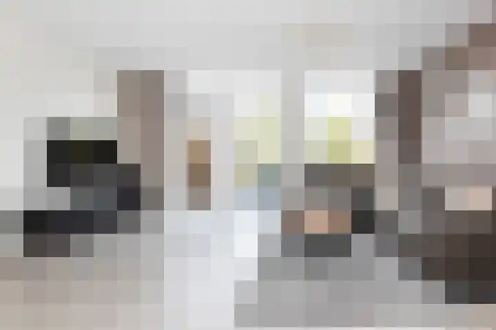 Van Hemertmarke 14 Zwolle thumbnail 4
