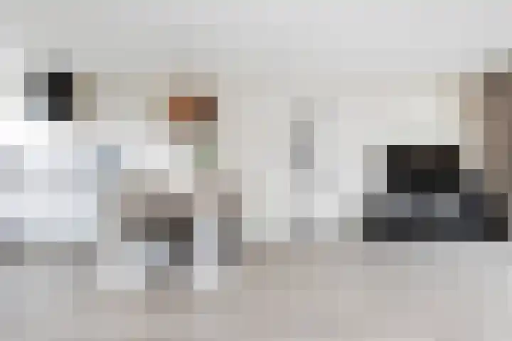 Van Hemertmarke 14 Zwolle thumbnail 6