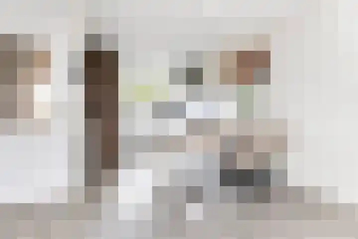 Van Hemertmarke 14 Zwolle thumbnail 7