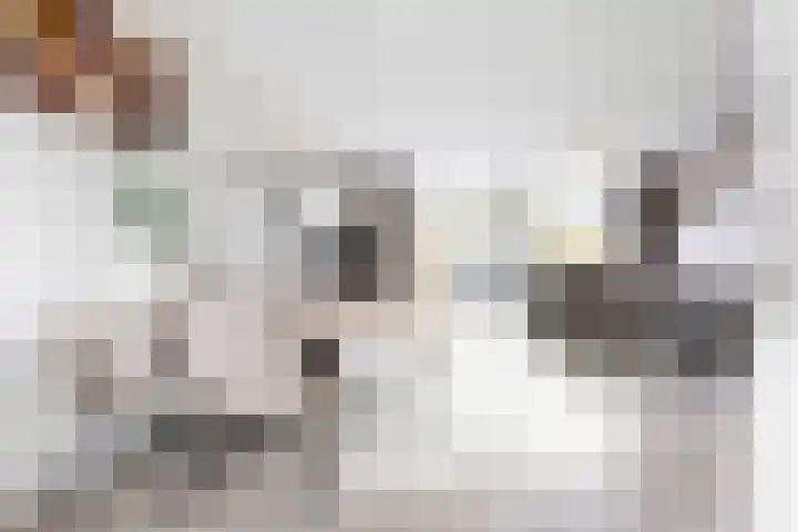 Van Hemertmarke 14 Zwolle thumbnail 8