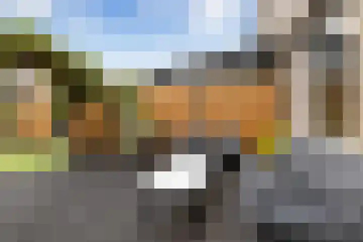 Van Hemertmarke 14 Zwolle thumbnail 9