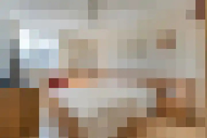 Van Hemertmarke 16 Zwolle thumbnail 16