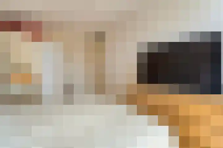 Van Hemertmarke 16 Zwolle thumbnail 17