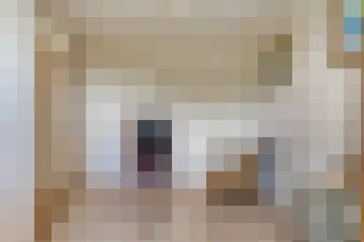 Van Hemertmarke 16 Zwolle thumbnail 24