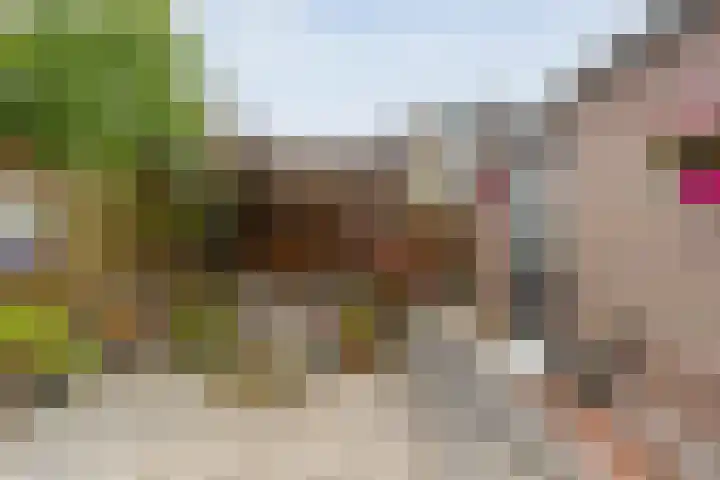 Van Hemertmarke 16 Zwolle thumbnail 30